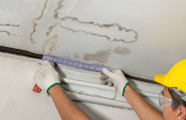 Reliable Water Damage Repair contractor in Earth, TX by Hirex Water Damage